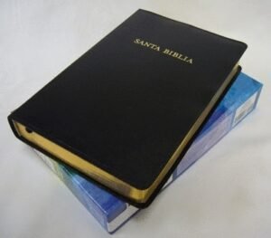 Biblia De Estudio RVR Arco Iris Piel Fabricada Negro