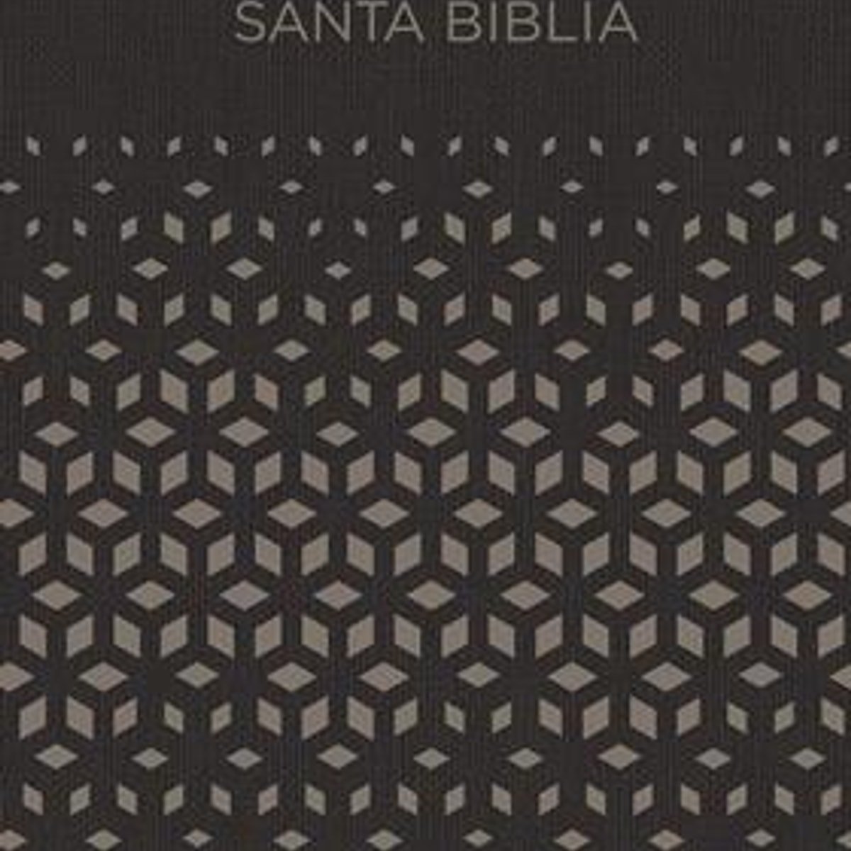 RV60 Biblia Regalos y premios/Negro-Plata/simil/BH 1 RV60 Biblia Regalos y premios/Negro-Plata/simil/BH
