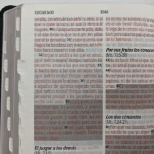 Biblia/RVR/Tamaño025/Imitacion Piel/Indice/Verde