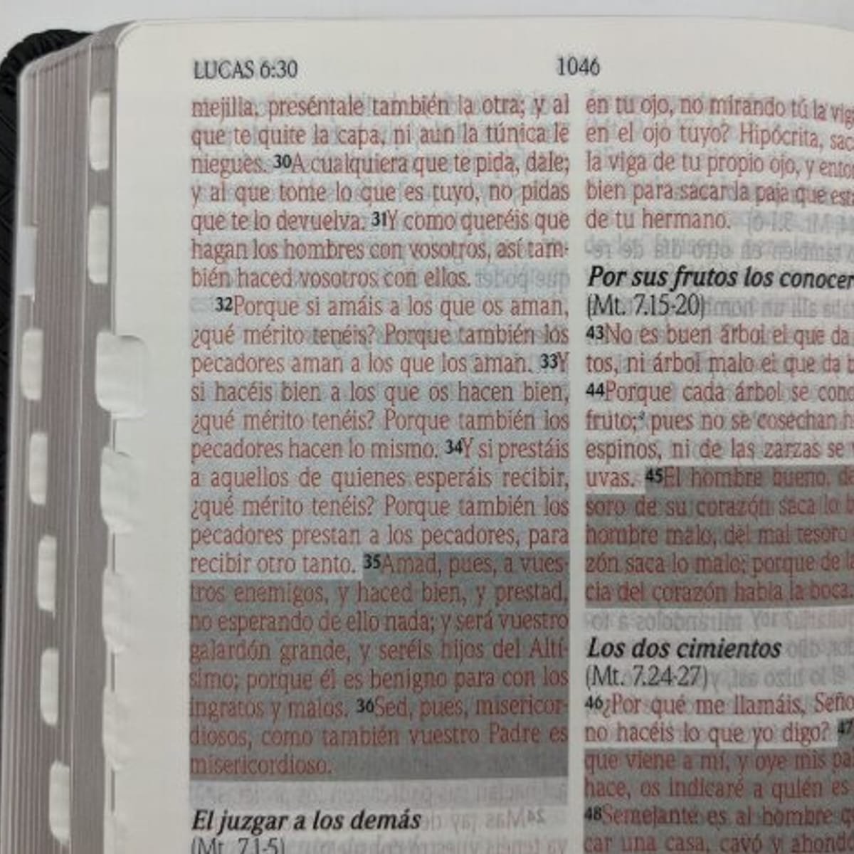 Biblia/RVR/Tamaño025/Imitacion Piel/Indice/Verde 1 Biblia/RVR/Tamaño025/Imitacion Piel/Indice/Verde