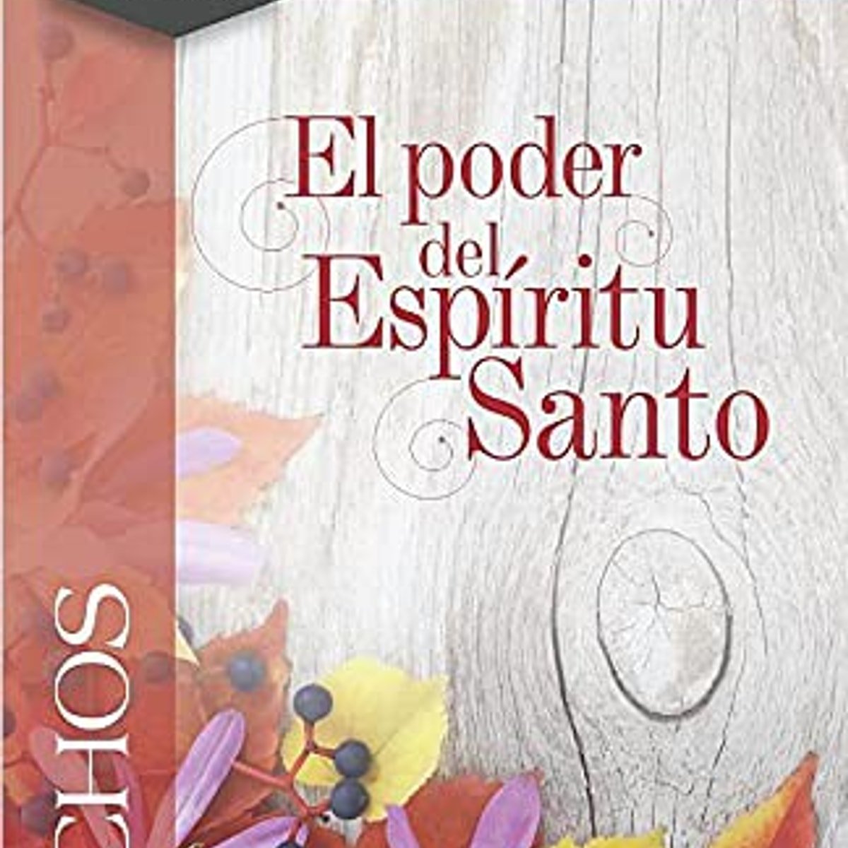 Su Poder En El Espiritu Santo 1 Su Poder En El Espiritu Santo