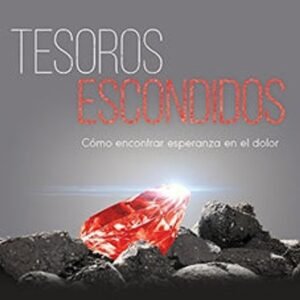 Libro Tesoros Escondidos: Cómo Encontrar Esperanza En El Dolor, Nolita W. De Theo