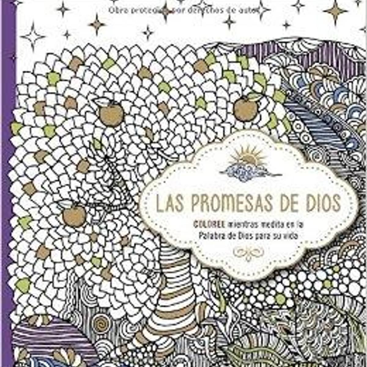 Promesas De Dios, Libro Para Colorear 1 Promesas De Dios, Libro Para Colorear