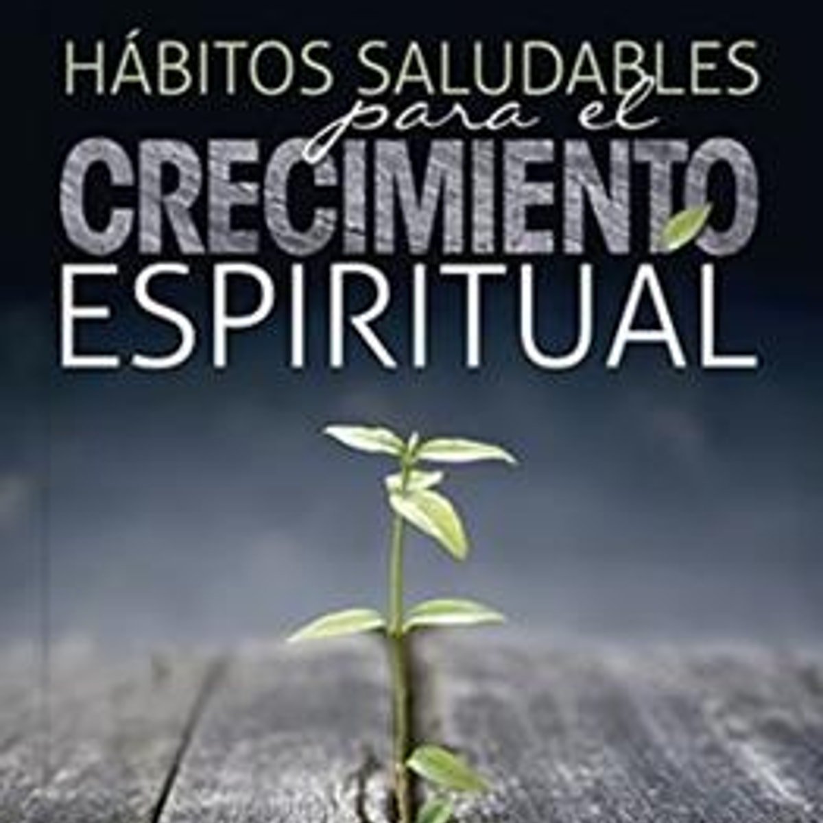 Habitos Saludables Para El Crecimiento Espiritual 1 Habitos Saludables Para El Crecimiento Espiritual