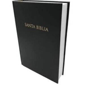 Biblia Reina Valera SBT/ TD