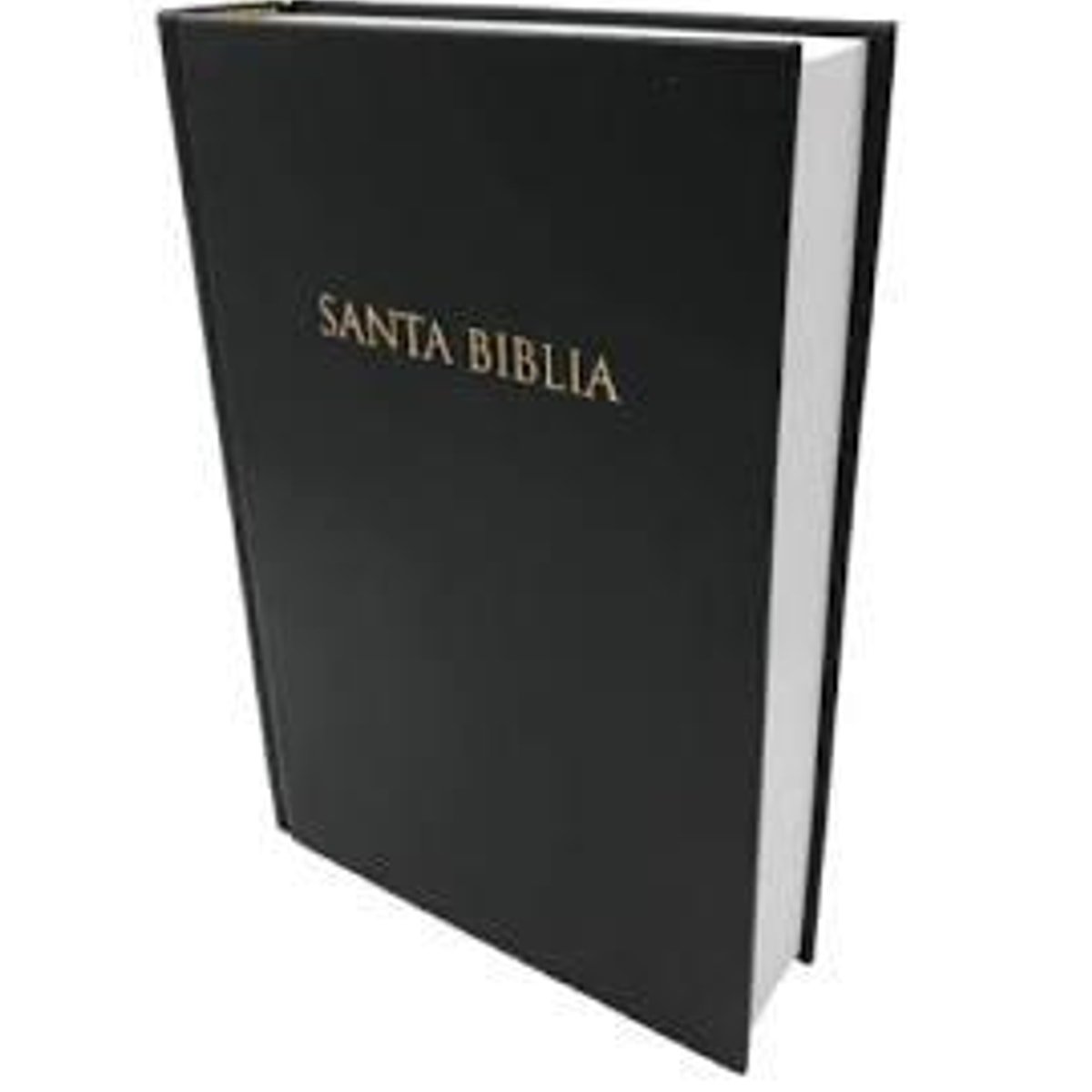 Biblia Reina Valera SBT/ TD 1 Biblia Reina Valera SBT/ TD