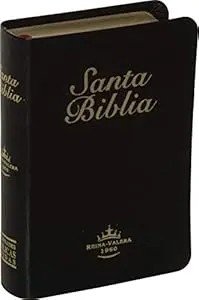 Biblia de bolsillo negra