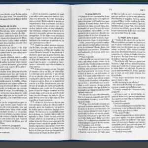 Biblia/RVR/Tamaño052/Tapa Dura/Gris