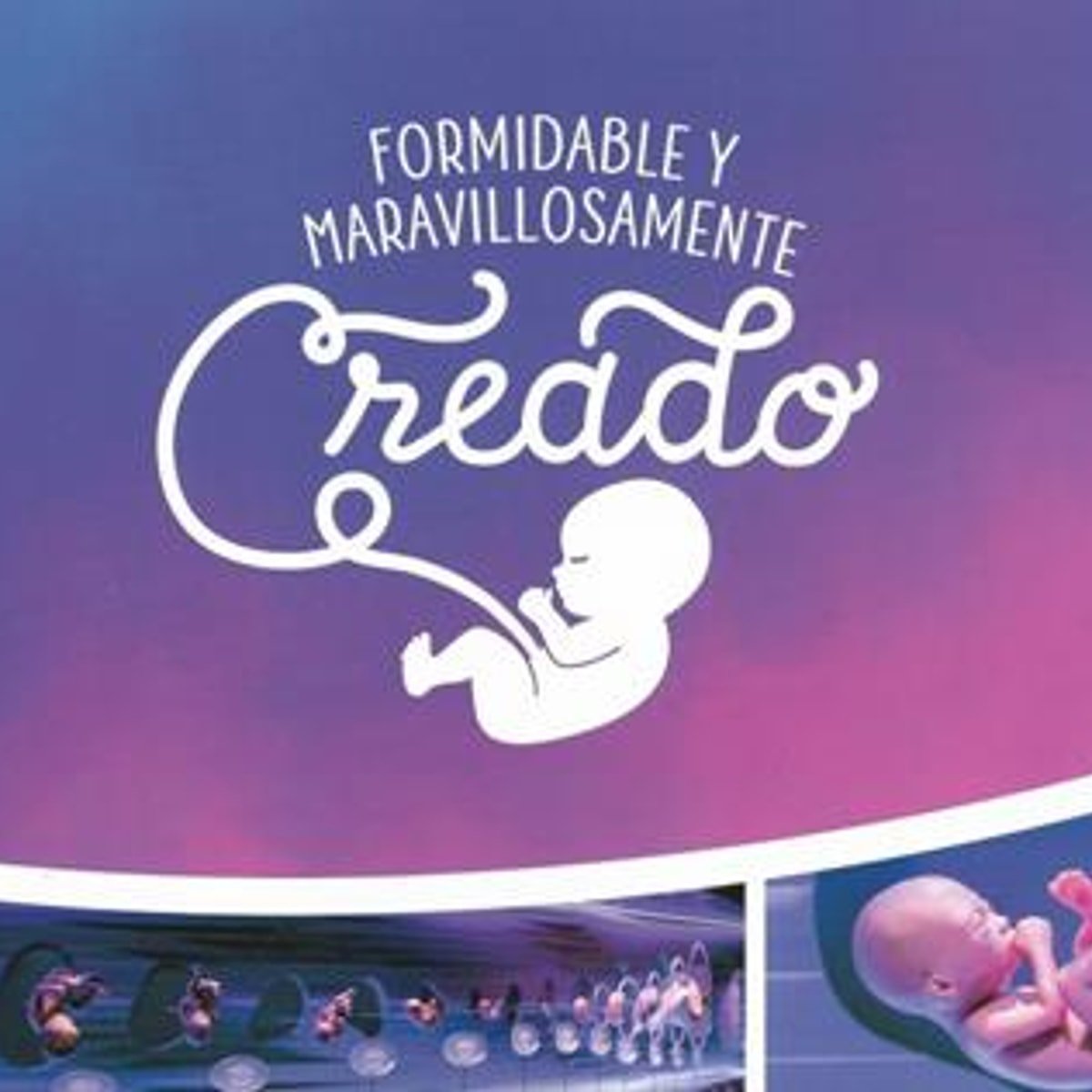 Formidable Y Maravillosamente Creado 1 Formidable Y Maravillosamente Creado