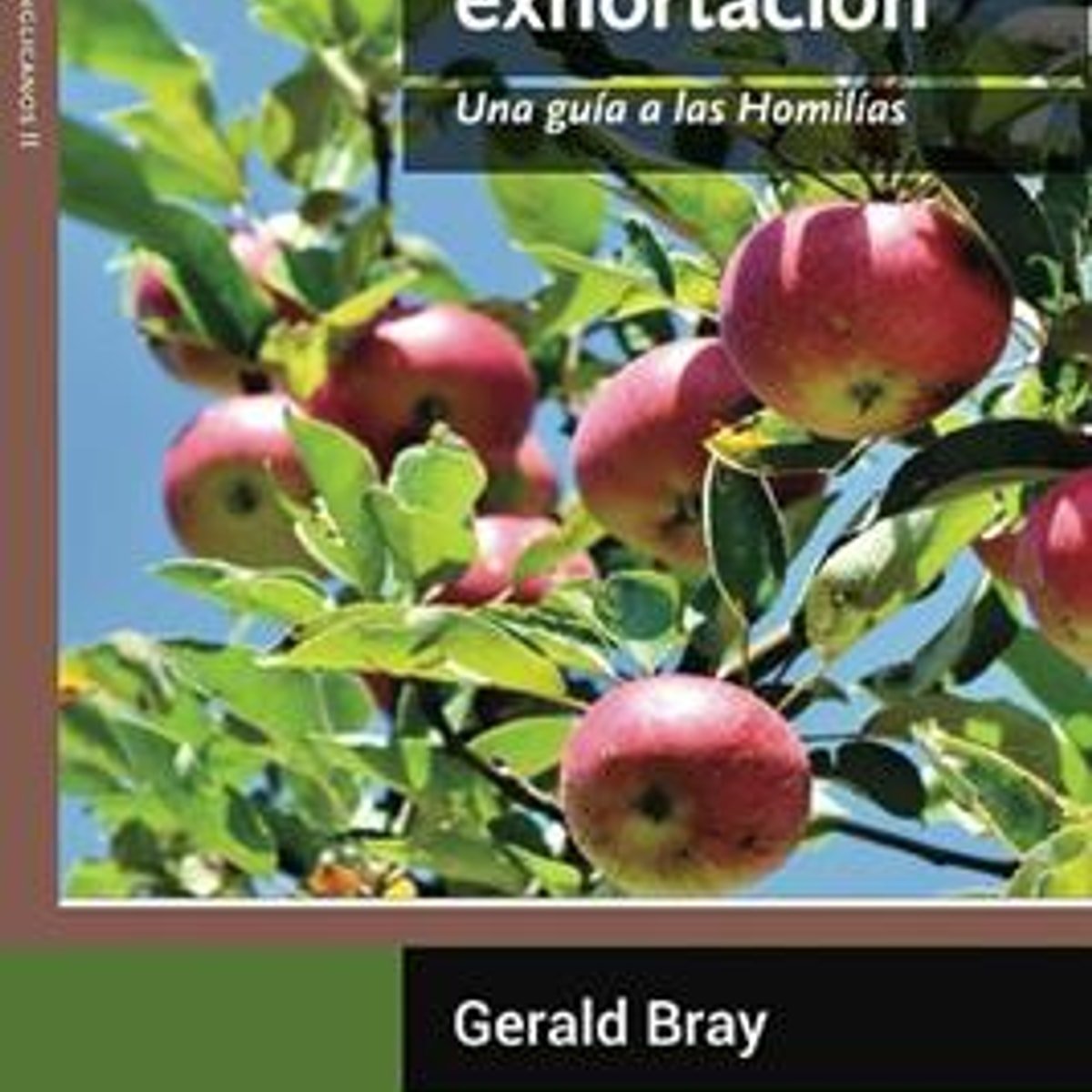 Una Fructifera Exhortacion/ Una Guia A La Homilias 1 Una Fructifera Exhortacion/ Una Guia A La Homilias