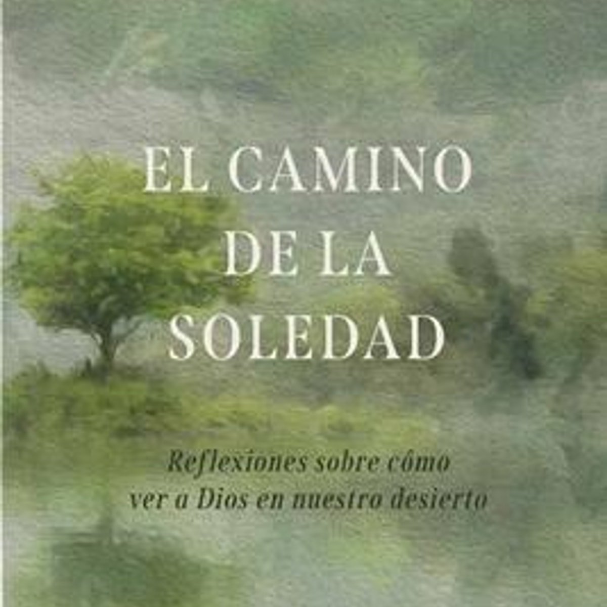 Camino De La Soledad /El 1 Camino De La Soledad /El
