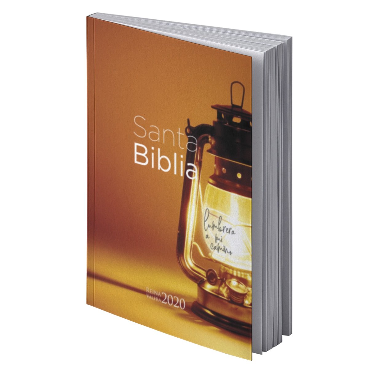 Biblia RVR 2020 Económica Lámpara Rústica 1 Biblia RVR 2020 Económica Lámpara Rústica