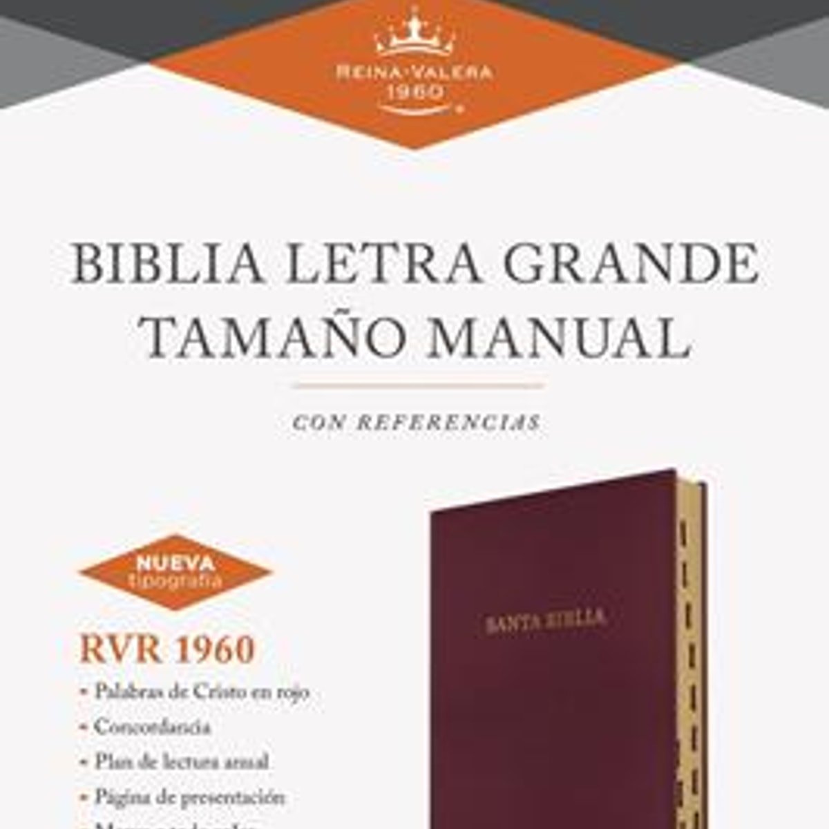 Biblia RVR 1960 Letra Grande Tamaño Manual Tricolor Fucsia Palo Rosa Fucsia con Cierre e Índice 1 Biblia RVR 1960 Letra Grande Tamaño Manual Tricolor Fucsia Palo Rosa Fucsia con Cierre e Índice
