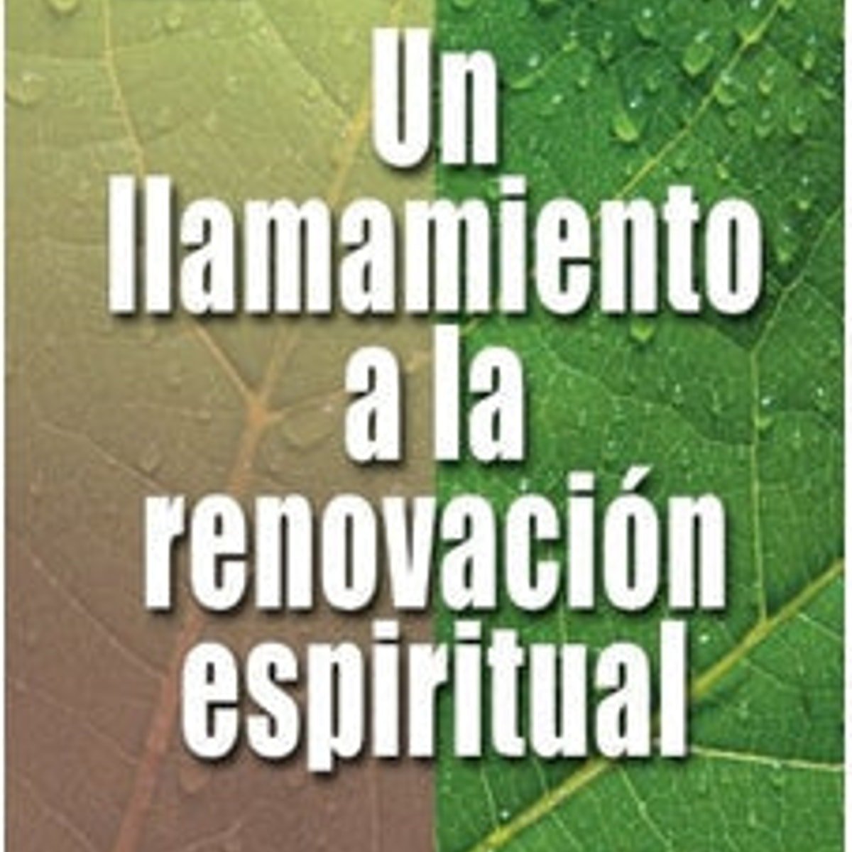 Un Llamamiento A La Renovacion Espiritual 1 Un Llamamiento A La Renovacion Espiritual