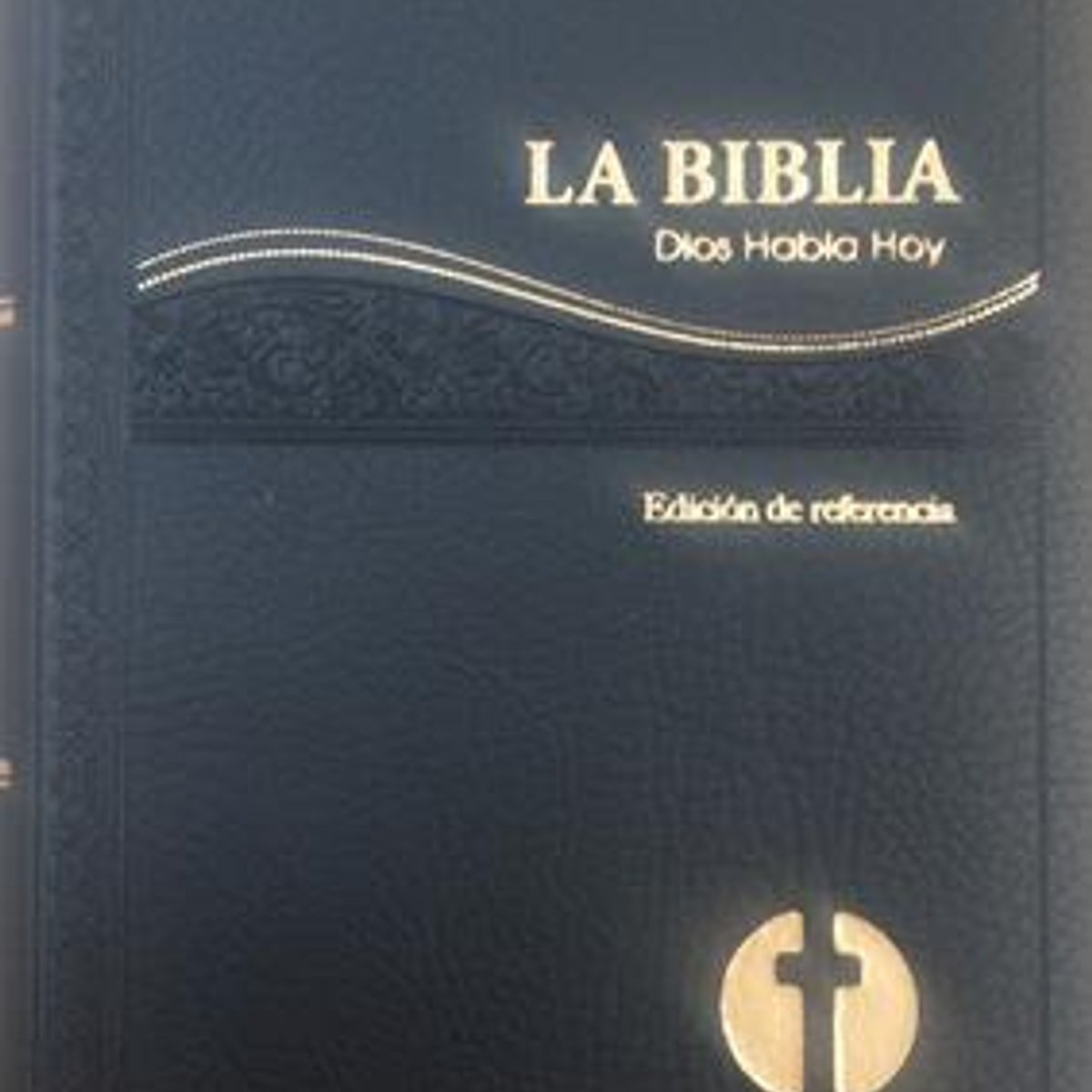 Biblia DHH25DZ Negro 1 Biblia DHH25DZ Negro