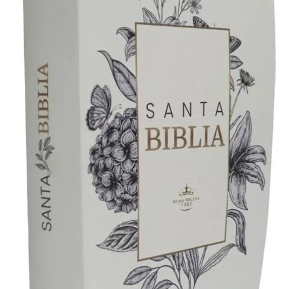 RV60 Biblia 065 Letra Grande Rosada Canto Rosa 1 RV60 Biblia 065 Letra Grande Rosada Canto Rosa
