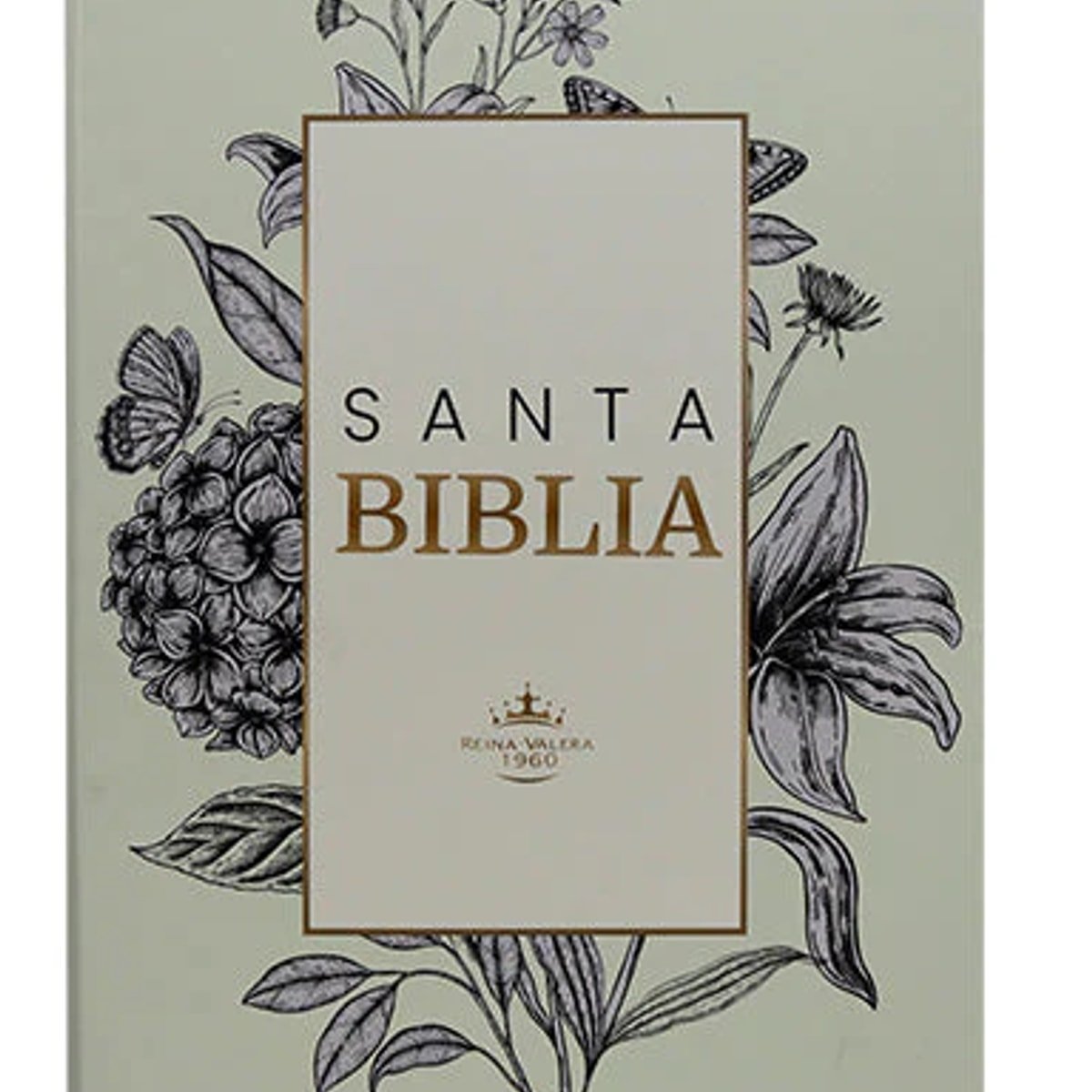 Biblia /RVR062eLM Flexible/Gris Canto Blanco 1 Biblia /RVR062eLM Flexible/Gris Canto Blanco