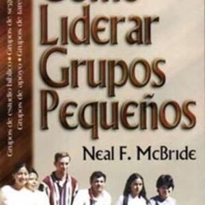 Como Liderar Grupos Pequeños