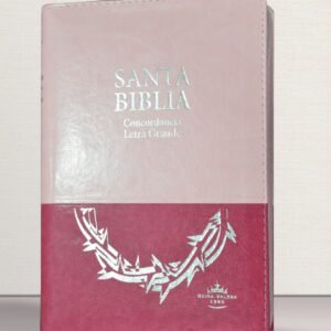 biblia reina valera 1960 portada dorada