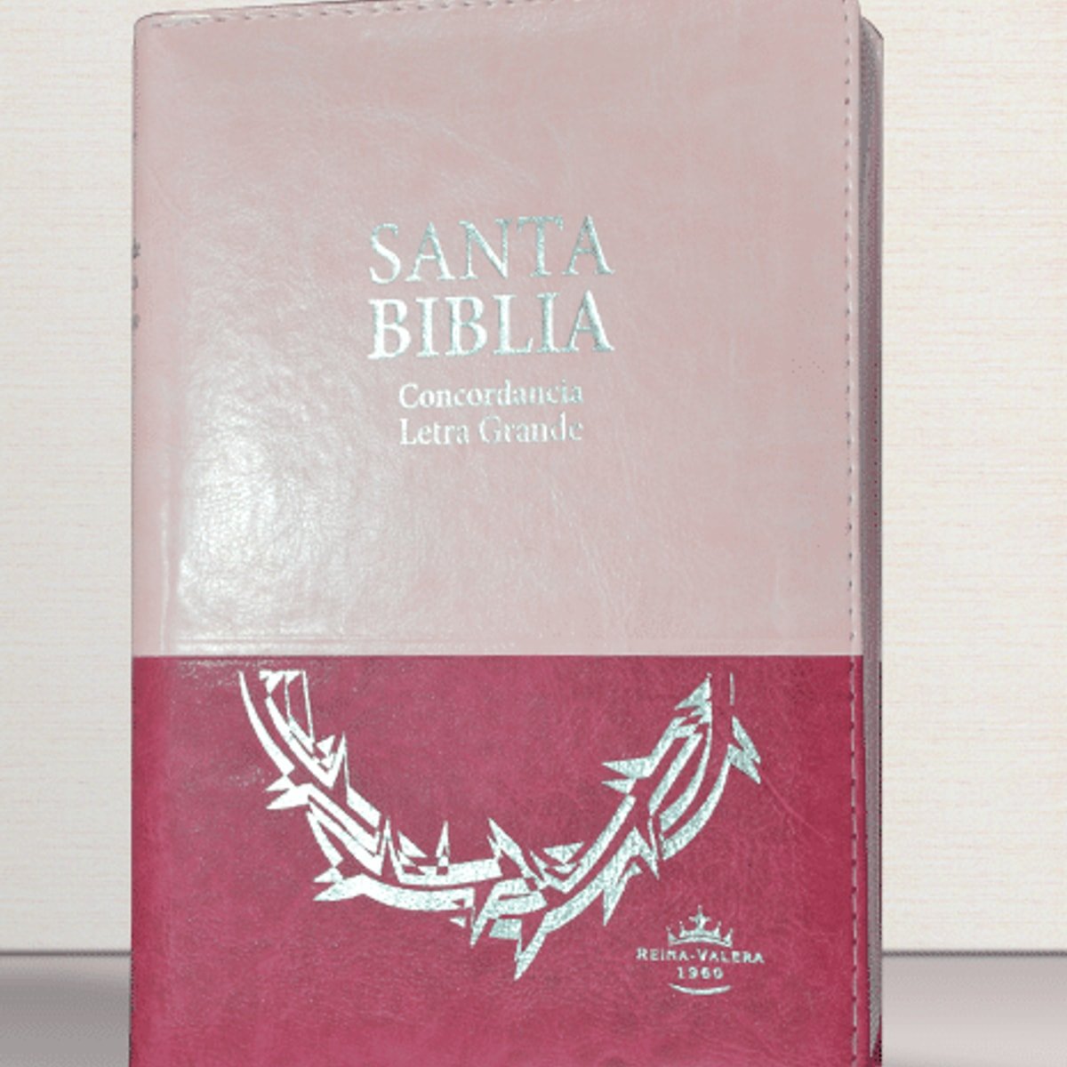 biblia reina valera 1960 portada dorada 1 biblia reina valera 1960 portada dorada