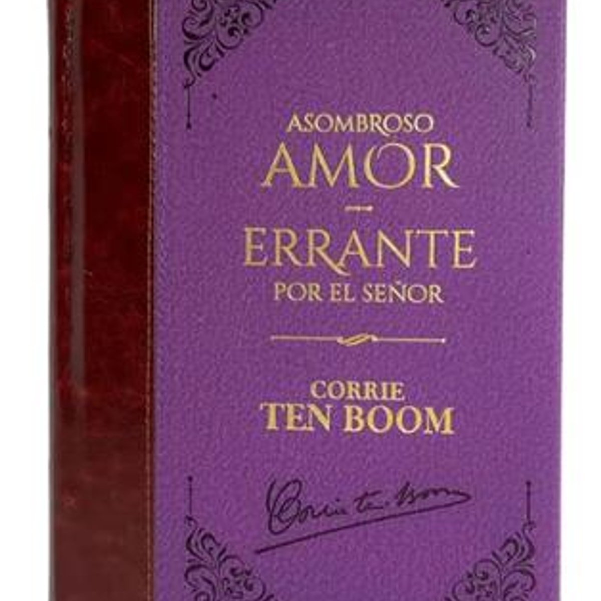 Tomo 12/Asombroso Amor/Errante por el Señor 1 Tomo 12/Asombroso Amor/Errante por el Señor