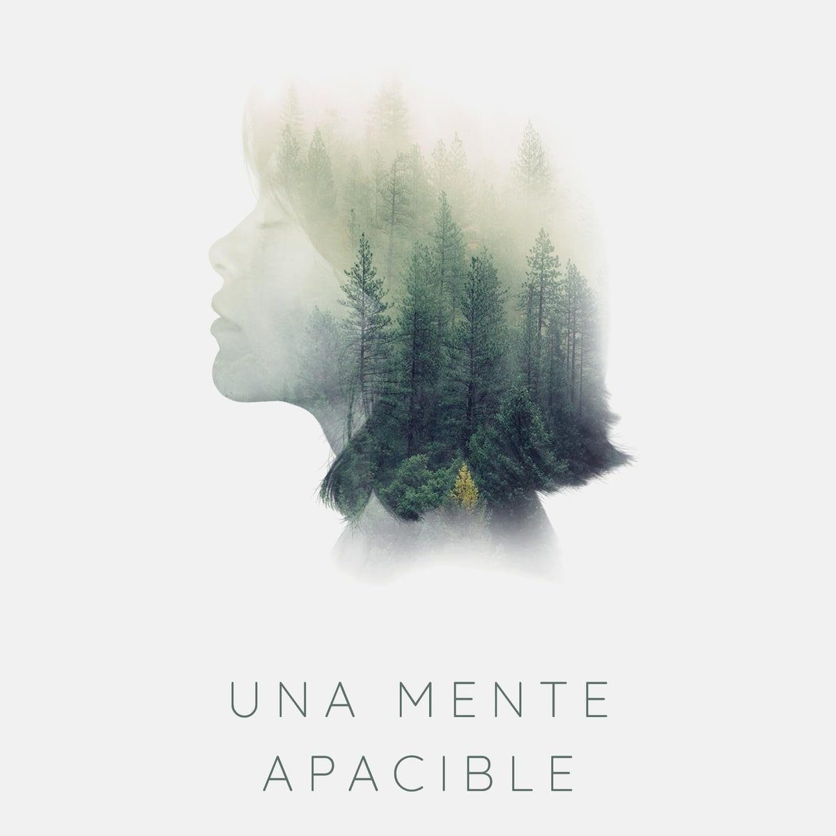Una Mente Apacible 1 Una Mente Apacible