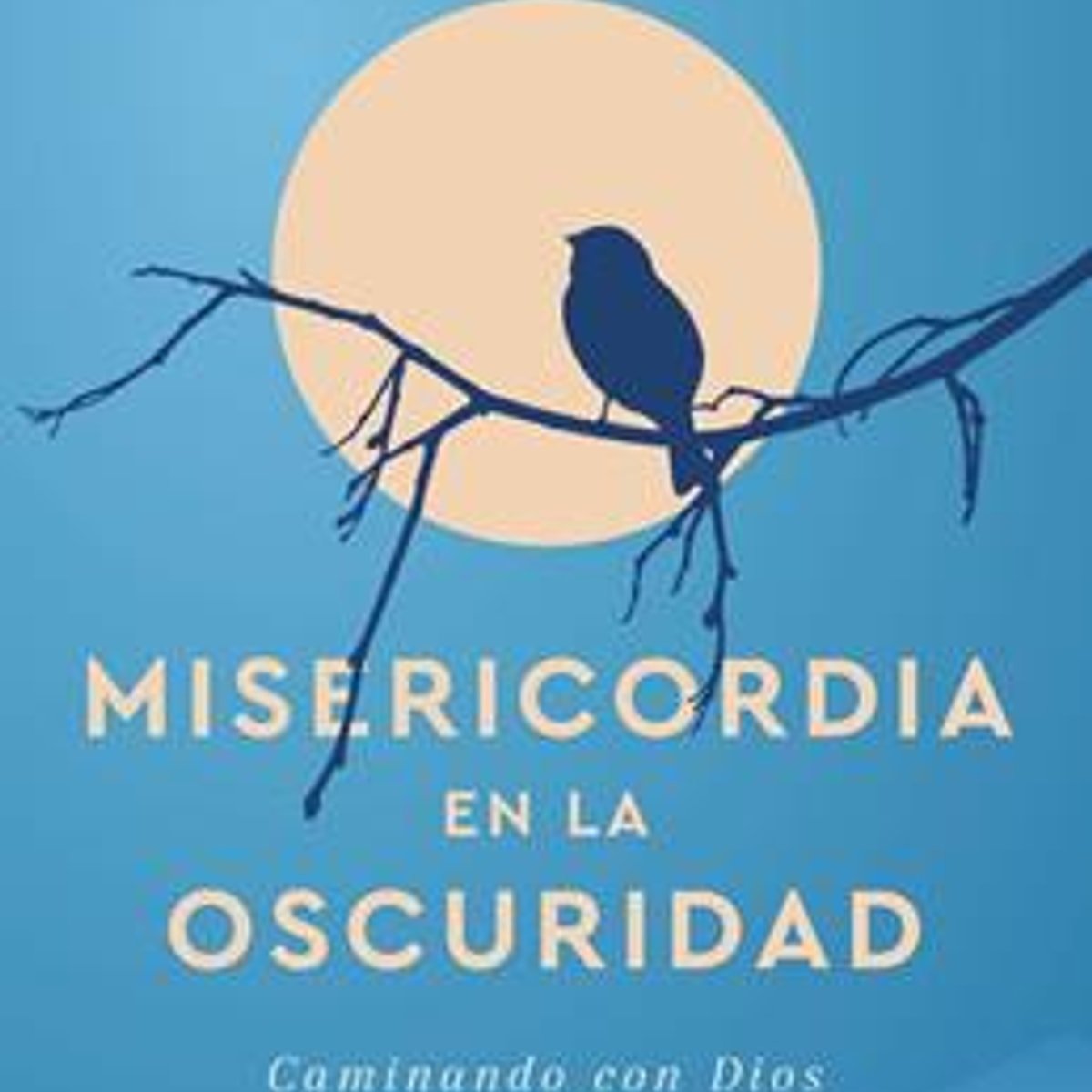 Misericordia En La Oscuridad 1 Misericordia En La Oscuridad