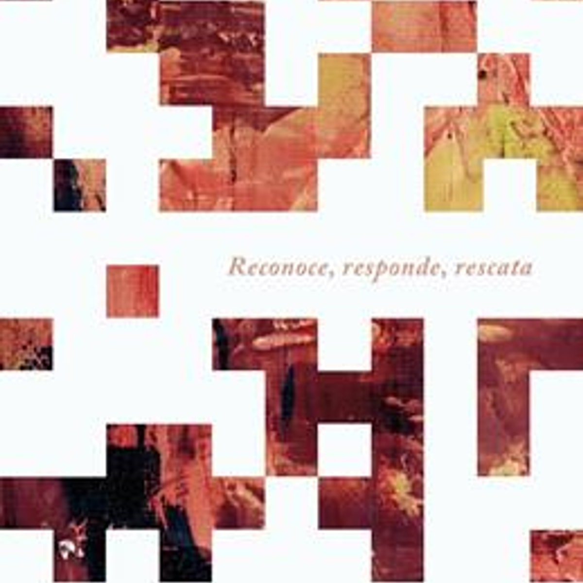 Abuso Domestico/ Reconoce Responde Rescata 1 Abuso Domestico/ Reconoce Responde Rescata