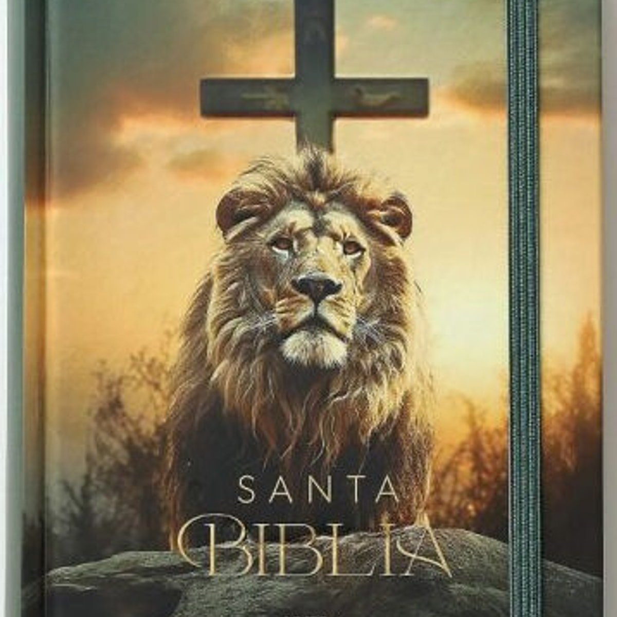 Biblia RVR leon de judah 1 Biblia RVR leon de judah