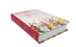 Biblia Reina Valera 1960 Letra Grande Manual Fucsia