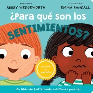Para Que Son Los Sentimientos