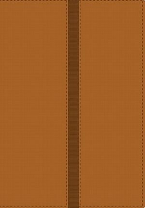 Biblia Thompson/NVI/Referencias/Piel/Marron-Café
