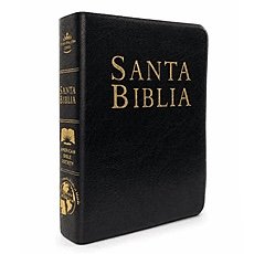 Biblia letra grande vinilo