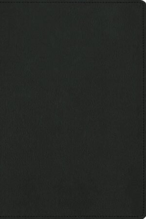 Biblia NBLA Para La Lectura Publica/ Verde Versificada LG/ Piel De Cabra
