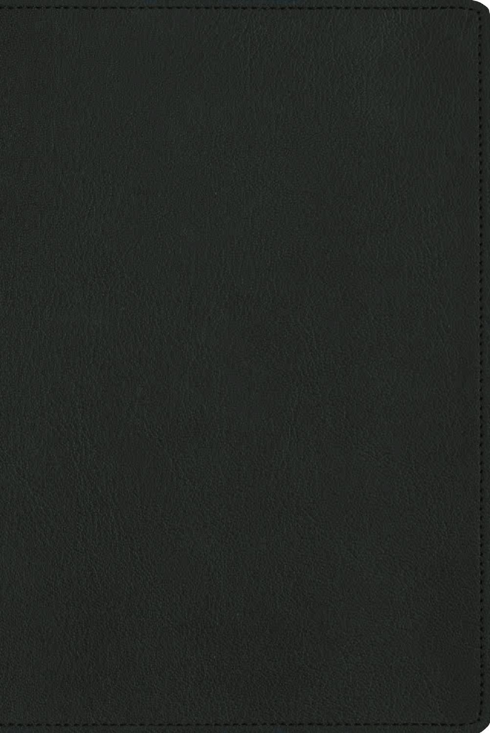 Biblia NBLA Para La Lectura Publica/ Verde Versificada LG/ Piel De Cabra 1 Biblia NBLA Para La Lectura Publica/ Verde Versificada LG/ Piel De Cabra