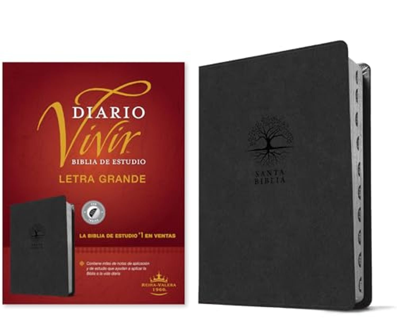 Biblia RVR 1960 de Estudio del Diario Vivir Letra Grande Símil Piel Carbón Índice Letra Roja 1 Biblia RVR 1960 de Estudio del Diario Vivir Letra Grande Símil Piel Carbón Índice Letra Roja
