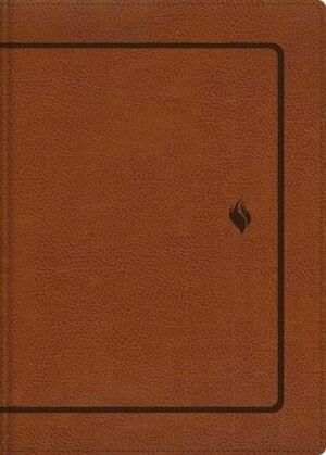 Biblia RVR 1960 de Estudio de la Vida Plena Piel dos Tonos Café