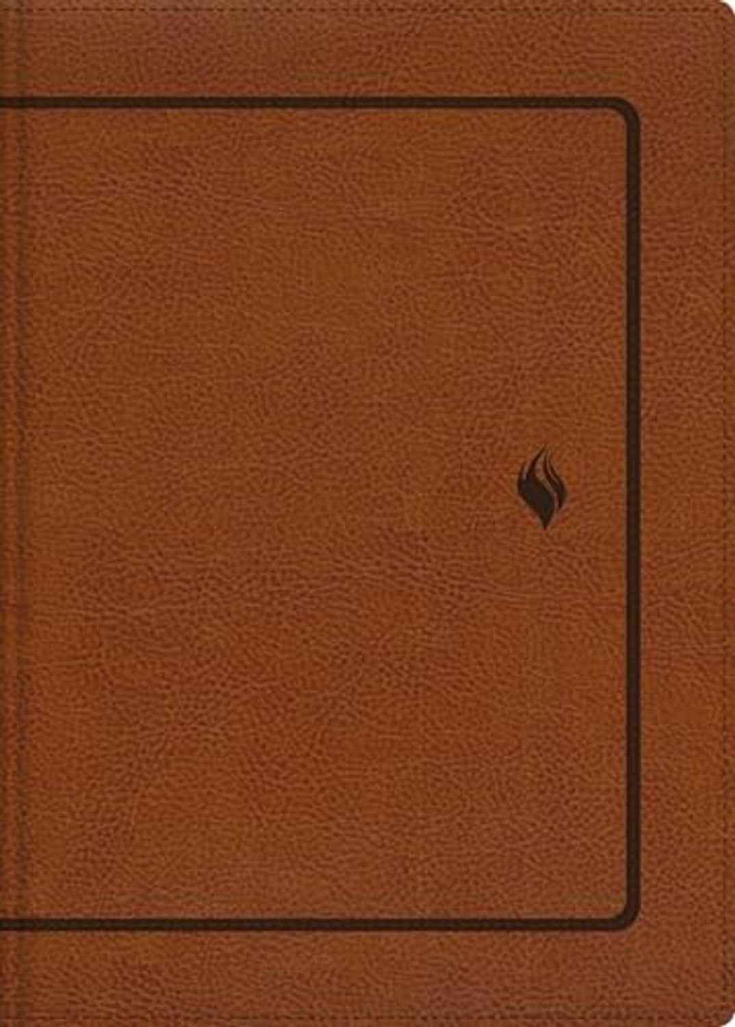 Biblia RVR 1960 de Estudio de la Vida Plena Piel dos Tonos Café 1 Biblia RVR 1960 de Estudio de la Vida Plena Piel dos Tonos Café