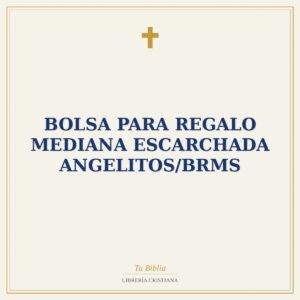 Bolsa Para Regalo Mediana Escarchada Angelitos/BRMS