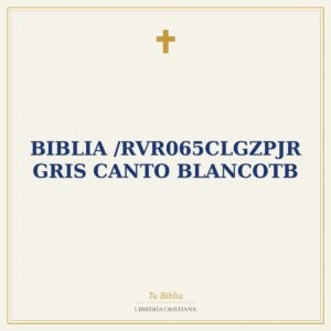 Biblia /RVR065cLGZPJR Gris Canto BlancoTB