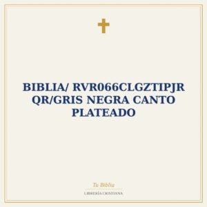 Biblia/ RVR066cLGZTIPJR QR/Gris Negra Canto Plateado