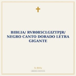 Biblia/ RVR085CLGiZTPJR/ Negro Canto Dorado Letra Gigante