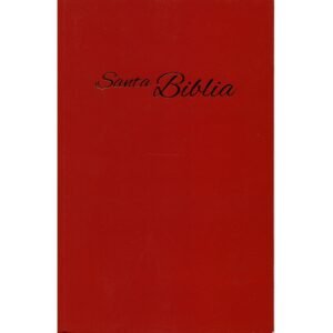 Biblia RVA/Economica/Rustica Vino