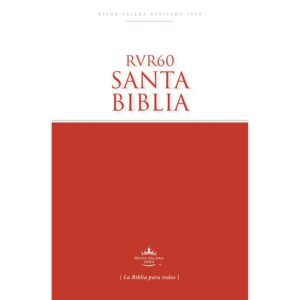 Caja de Biblias RVR60 28 a la vez
