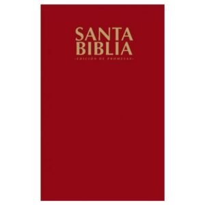 Biblia De Promesas Edición Económica Vino