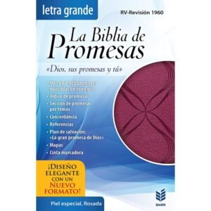 RV60 Biblia LG de Promesas Fucsia