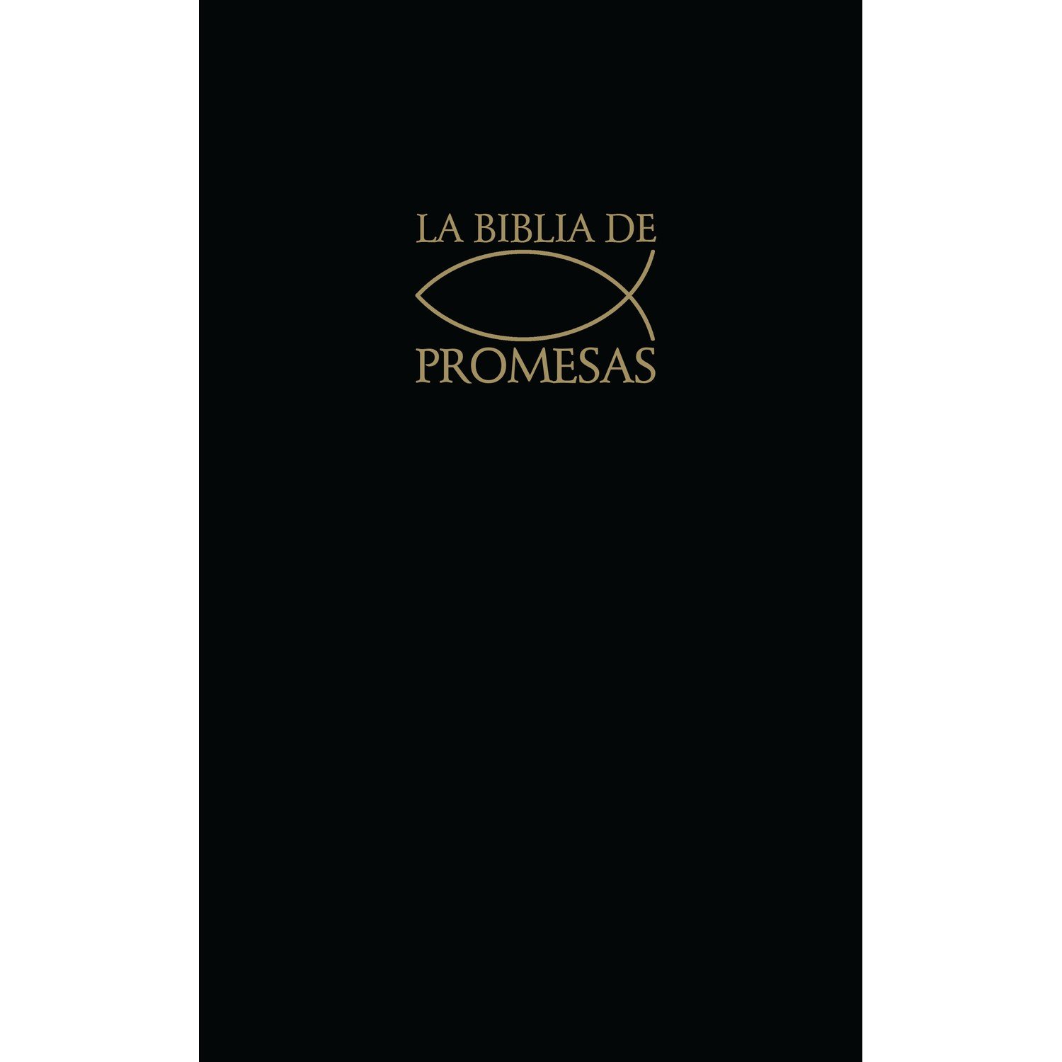 Biblia de Promesas Reina Valera 1960 Rústica 1 Biblia de Promesas Reina Valera 1960 Rústica