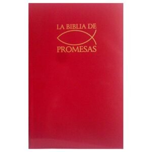 Biblia RVR60 Promesas Tapa Dura Vino