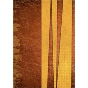 RV60 Biblia de promesas para jovenes, Dos tonos, Rojo-Amarillo