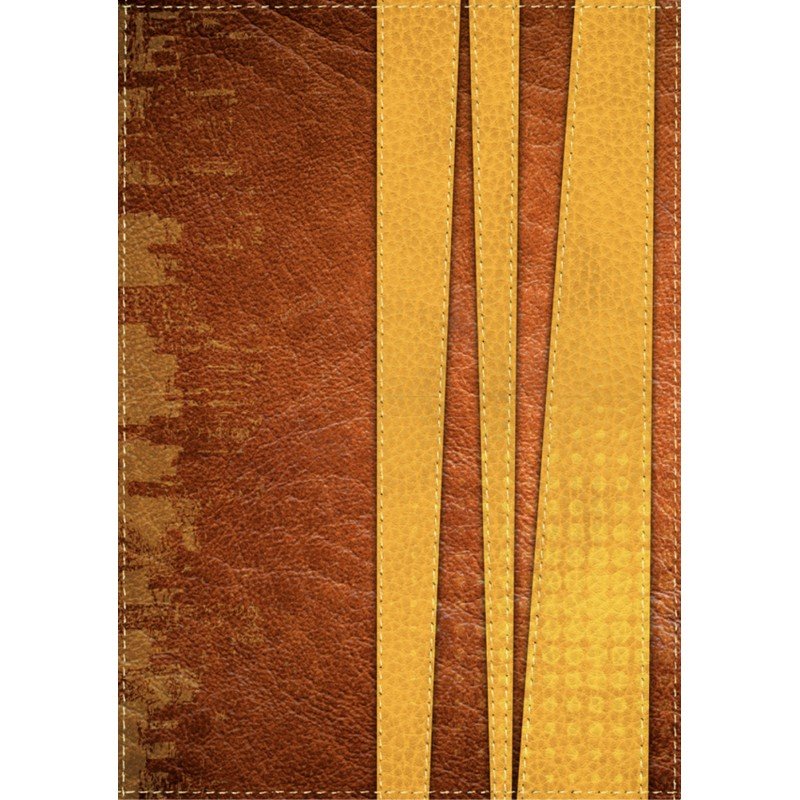 RV60 Biblia de promesas para jovenes, Dos tonos, Rojo-Amarillo 1 RV60 Biblia de promesas para jovenes, Dos tonos, Rojo-Amarillo